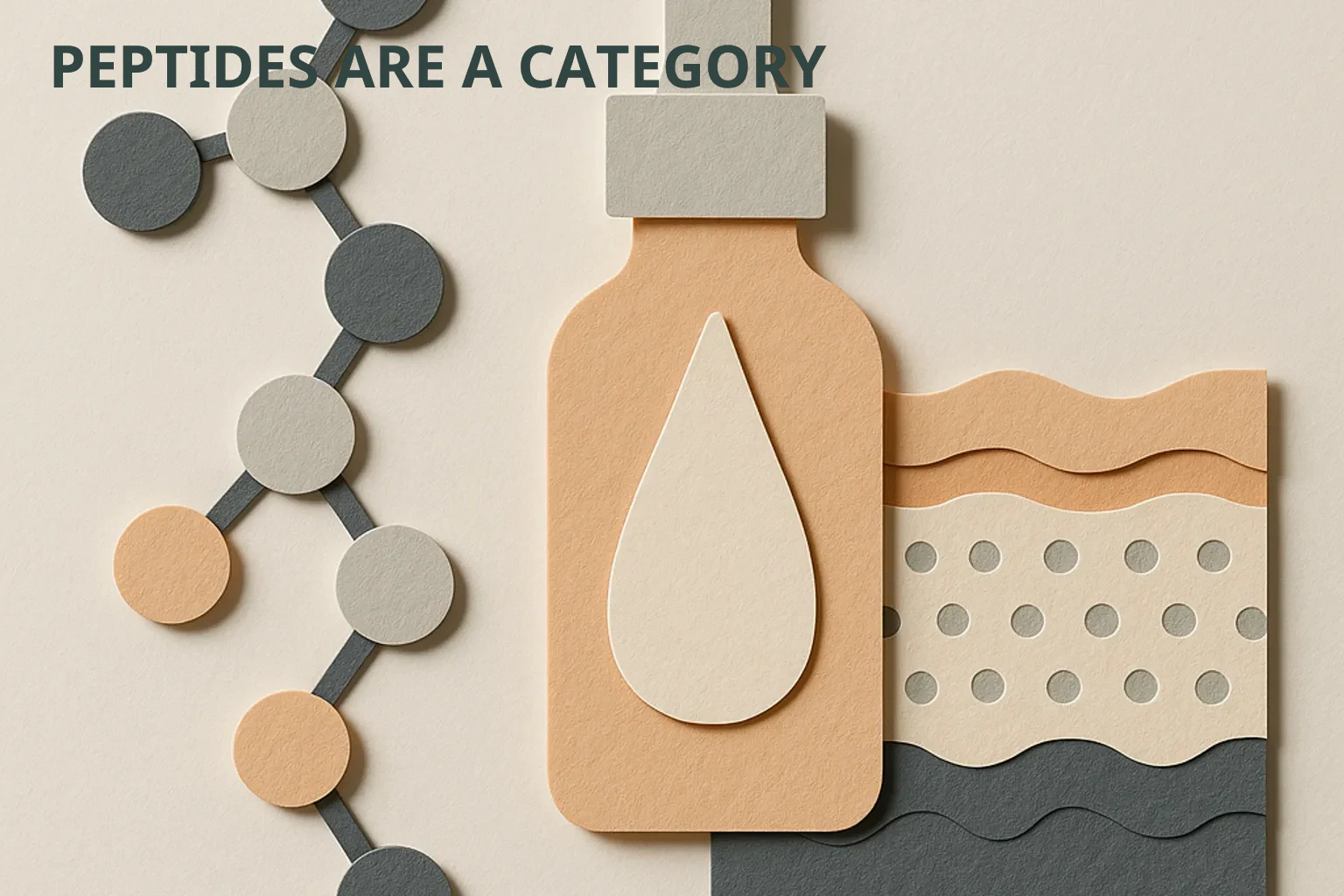 Cut-paper scientific illustration of peptide molecules and skin with the title Peptides Are a Category