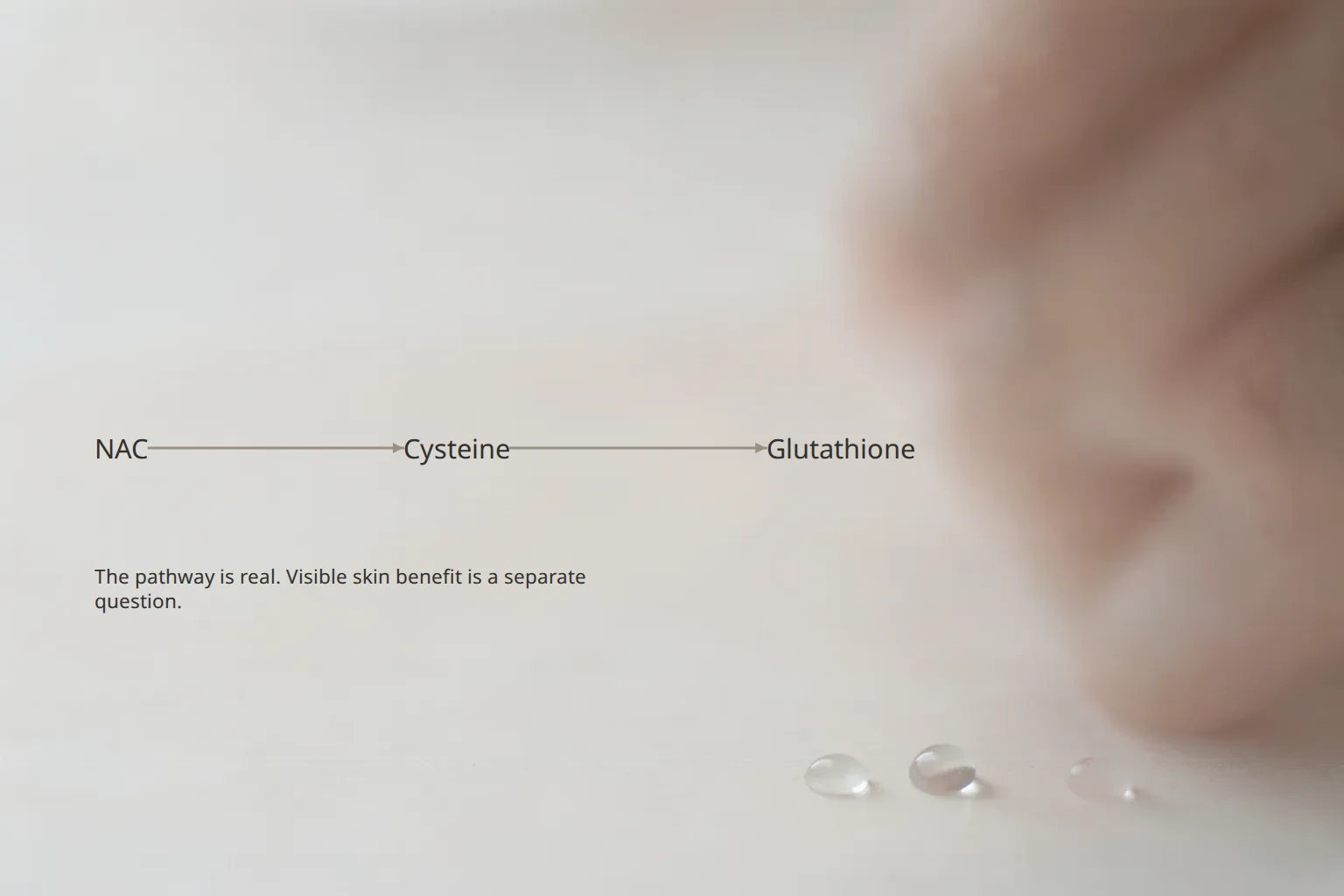 NAC to cysteine to glutathione shown as a labelled pathway